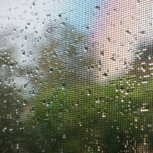 Raindrops on a mosquito net on a rainy day; green trees in the background; California